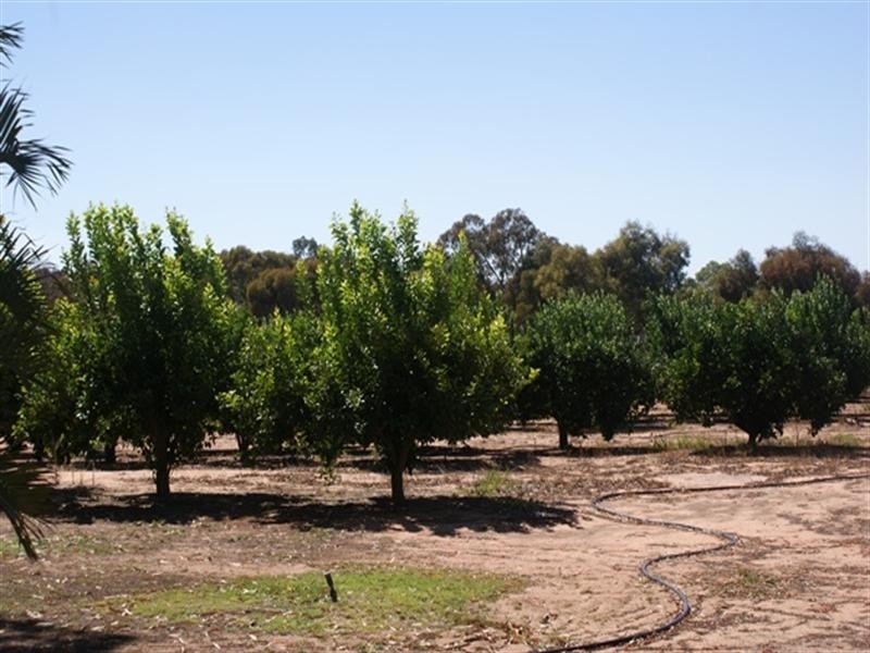 26742 Midlands Road, Irwin WA 6525