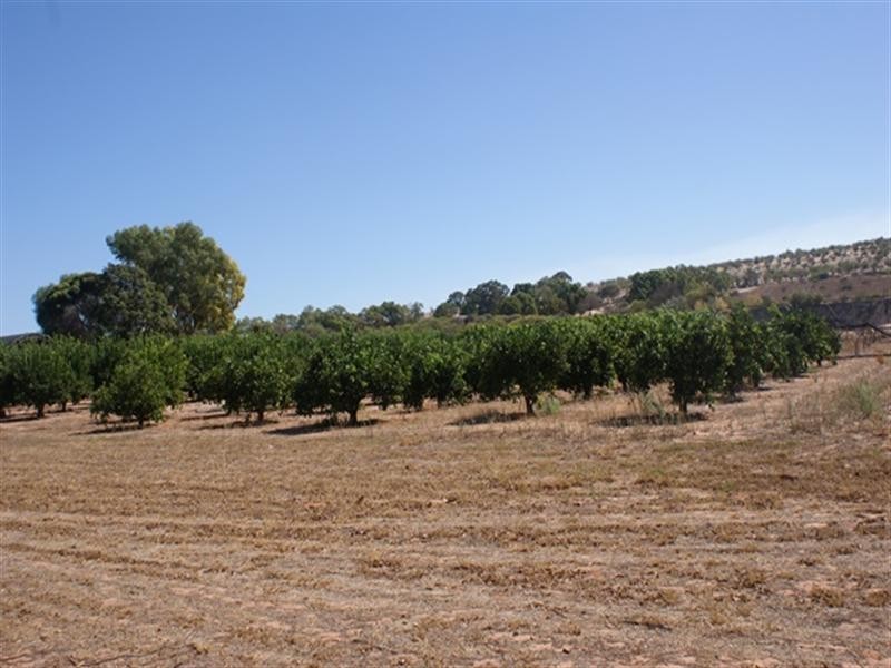 26742 Midlands Road, Irwin WA 6525