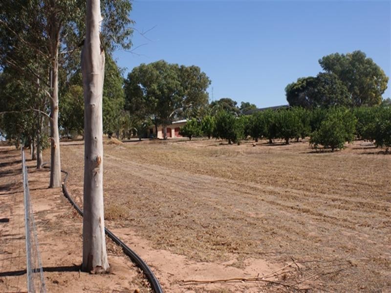 26742 Midlands Road, Irwin WA 6525