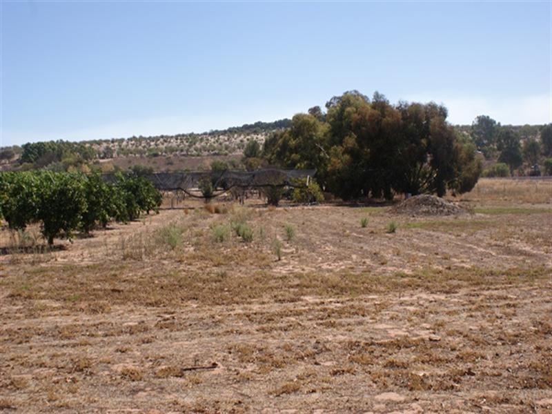 26742 Midlands Road, Irwin WA 6525