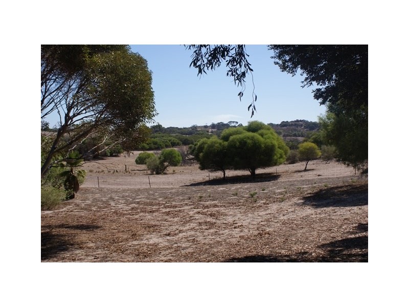 180 Acacia Road, Yardarino WA 6525