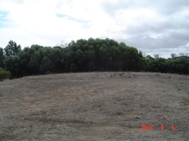 25 Honey Myrtle Close, Springfield WA 6525