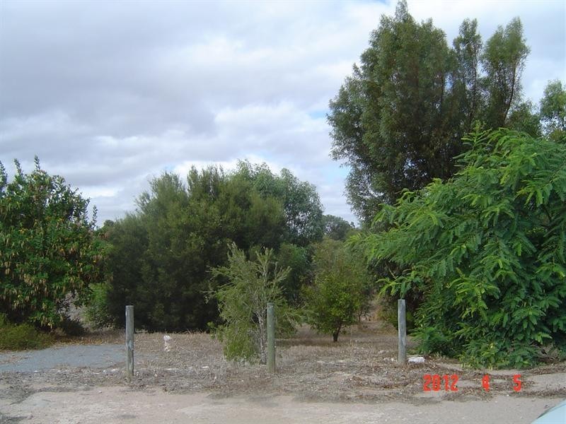 25 Honey Myrtle Close, Springfield WA 6525