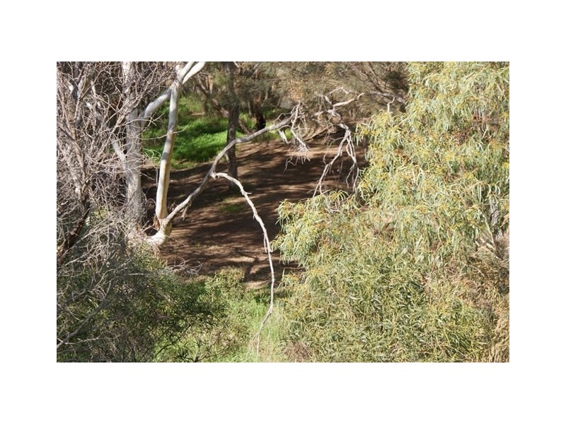 8 Hunts Road, Dongara WA 6525