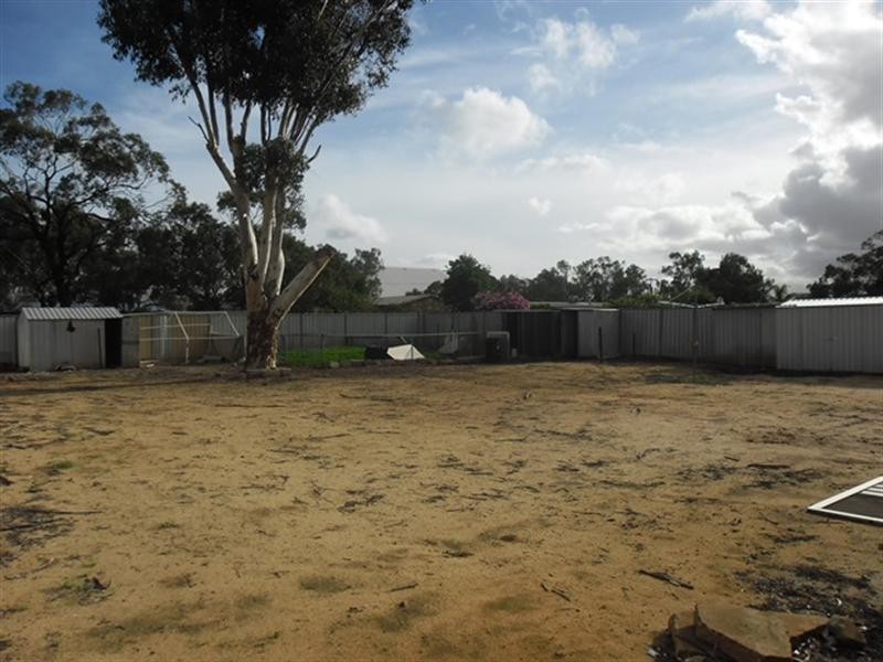 36 Williamson Street, Three Springs WA 6519