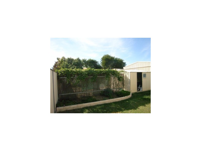 20 Mitchell Heights, Dongara WA 6525