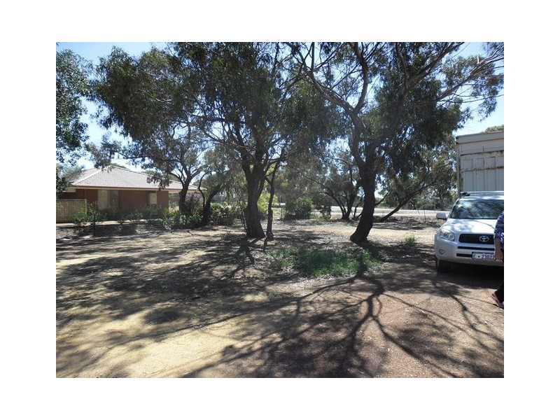 28 Christie Street, Three Springs WA 6519