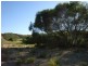 Lot 205 Hidden Valley Close, Dongara WA 6525