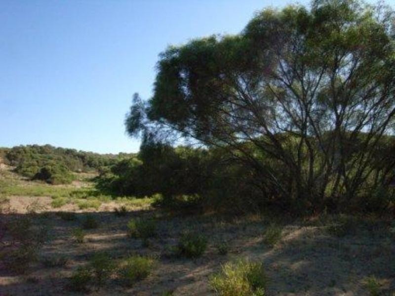 Lot 205 Hidden Valley Close, Dongara WA 6525