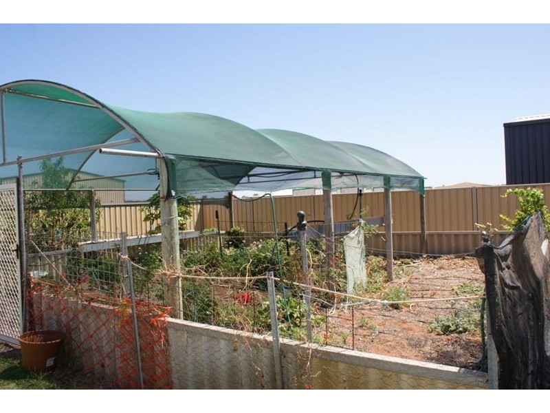 3 Chivers Concourse, Dongara WA 6525
