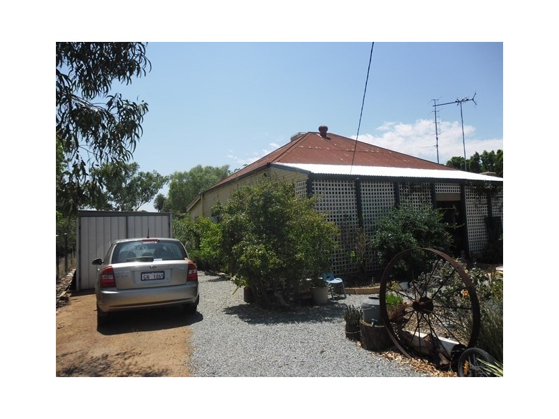 81 Williamson Street, Three Springs WA 6519