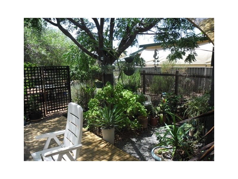 81 Williamson Street, Three Springs WA 6519