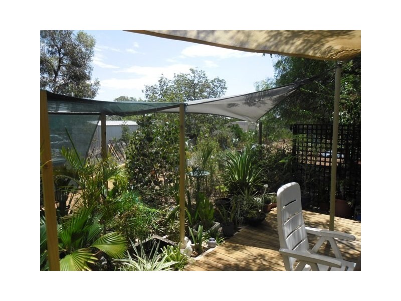 81 Williamson Street, Three Springs WA 6519