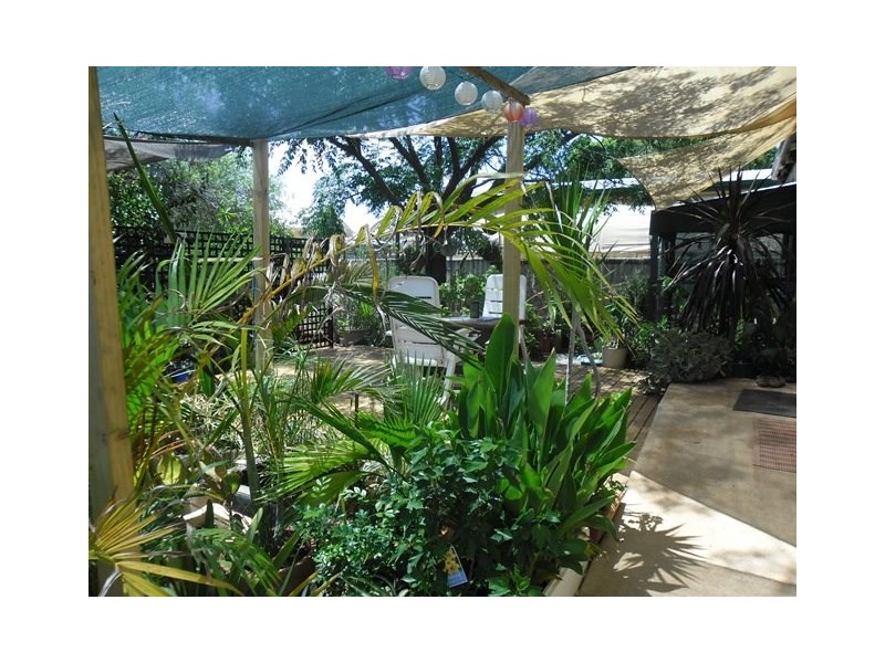 81 Williamson Street, Three Springs WA 6519