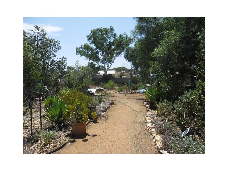 81 Williamson Street, Three Springs WA 6519