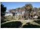 180 Melaleuca Road, Bonniefield WA 6525