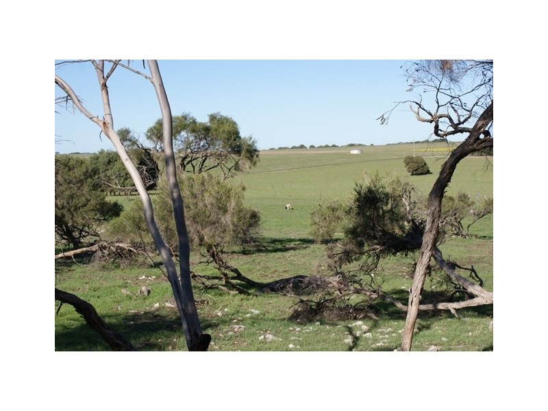 180 Melaleuca Road, Bonniefield WA 6525