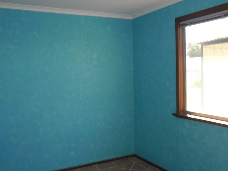 87 Williamson Street, Three Springs WA 6519