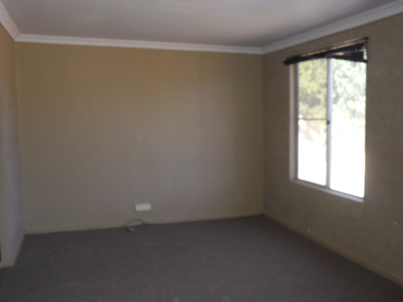 87 Williamson Street, Three Springs WA 6519