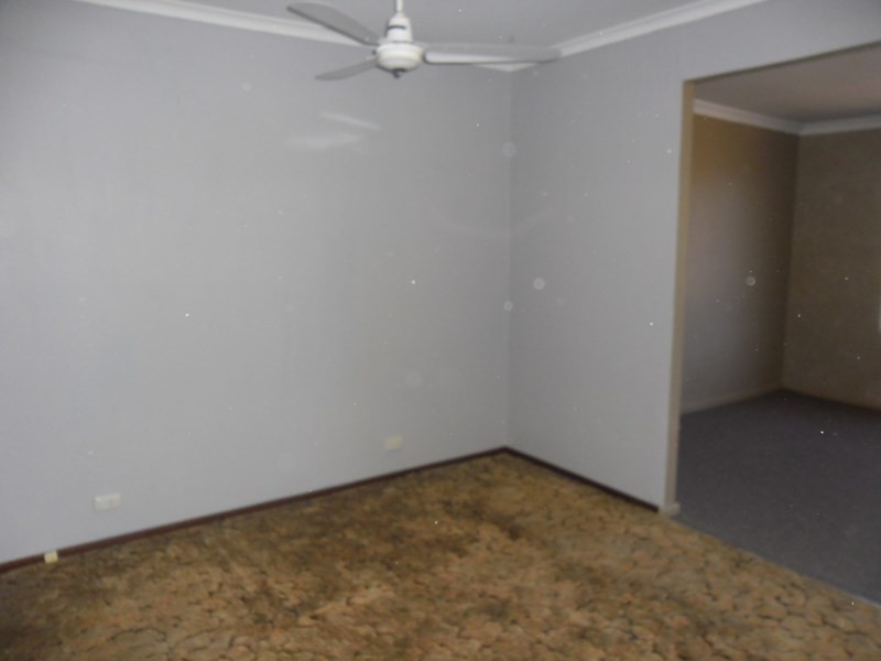 87 Williamson Street, Three Springs WA 6519