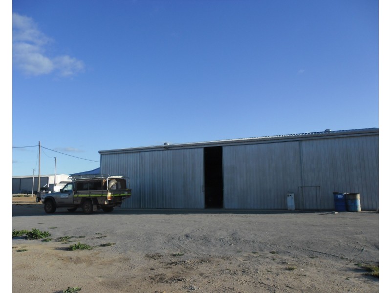 10 Forrester Avenue, Carnamah WA 6517