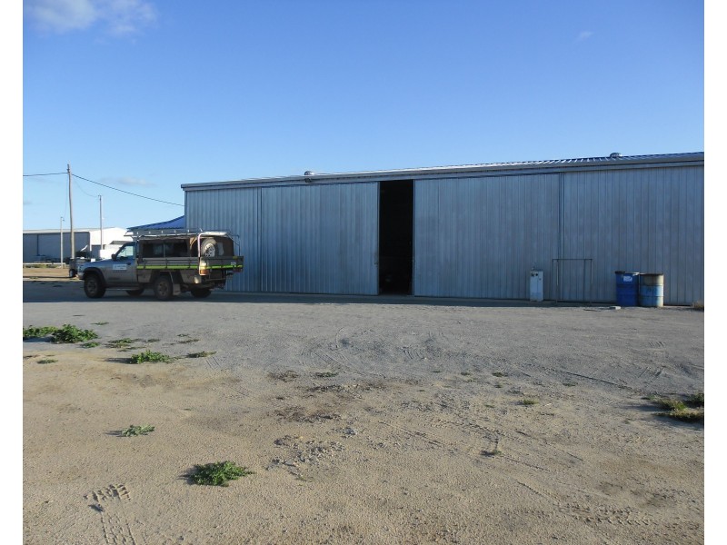 10 Forrester Avenue, Carnamah WA 6517