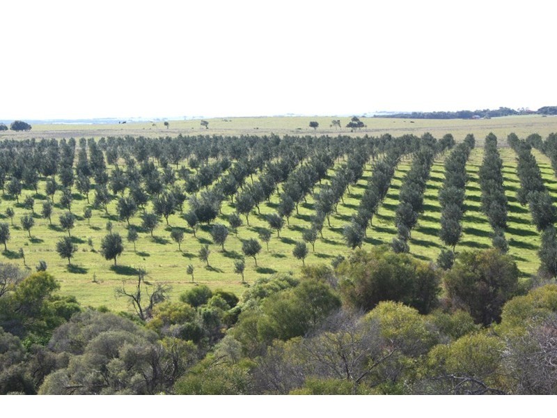 Lot 2 Seven Mile Beach Road, Dongara WA 6525