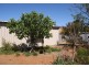 167 Point Leander Drive, Port Denison WA 6525