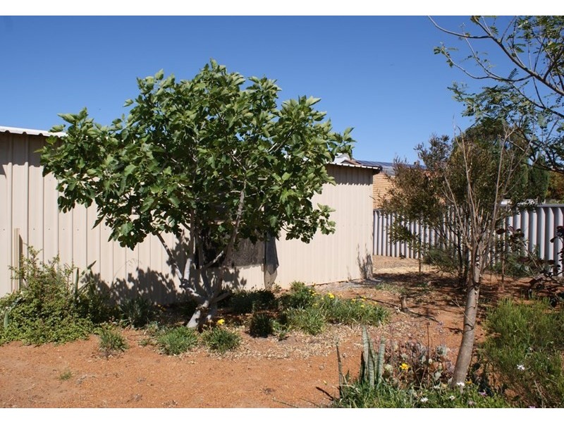 167 Point Leander Drive, Port Denison WA 6525