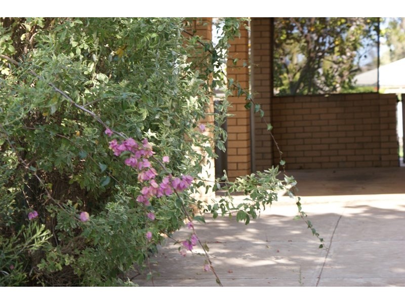 17 Hepburn Street, Dongara WA 6525