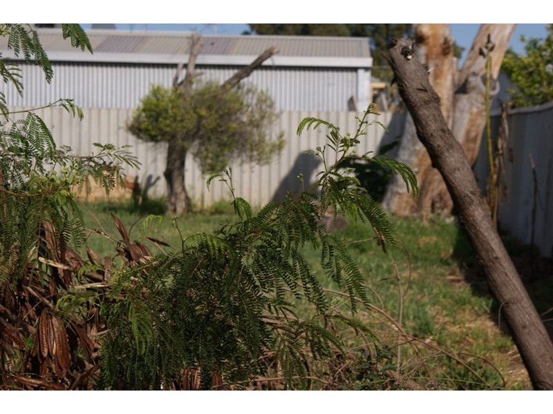 17 Hepburn Street, Dongara WA 6525