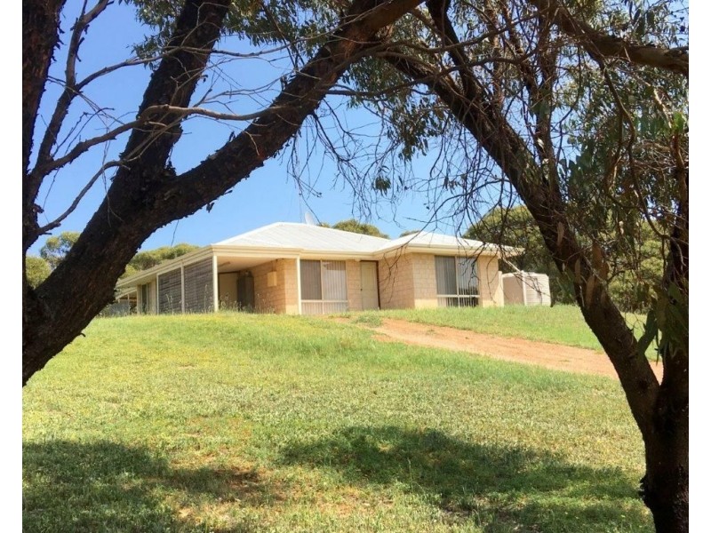 184 St Dominics Road, Port Denison WA 6525