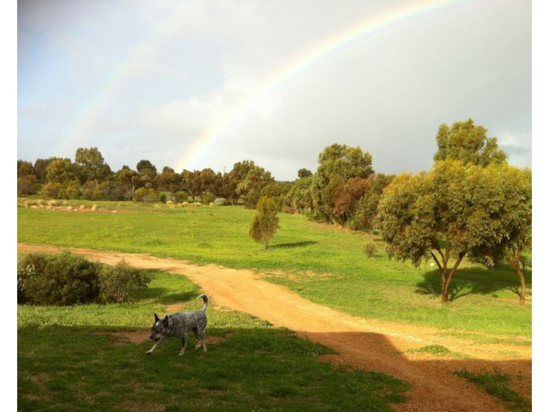 184 St Dominics Road, Port Denison WA 6525