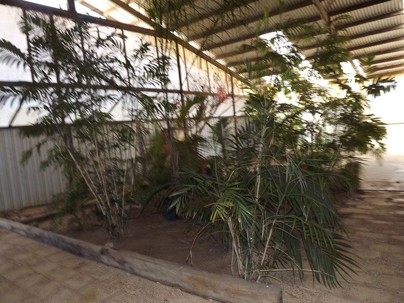 56 Pettit Lane, Dongara WA 6525