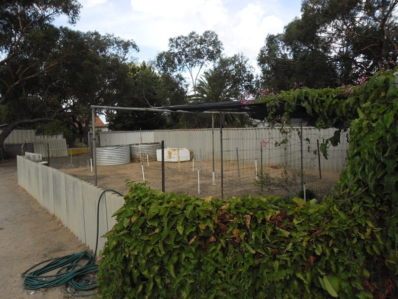 2 Caron Street, Carnamah WA 6517