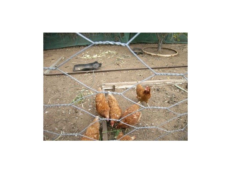 56 King Street, Mingenew WA 6522