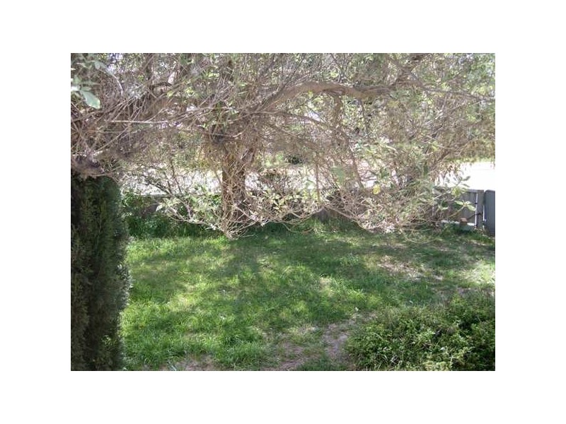 56 King Street, Mingenew WA 6522