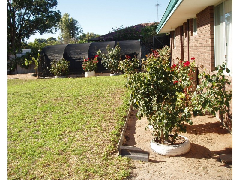 22 Dodd Street, Dongara WA 6525