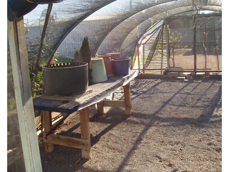 22 Dodd Street, Dongara WA 6525