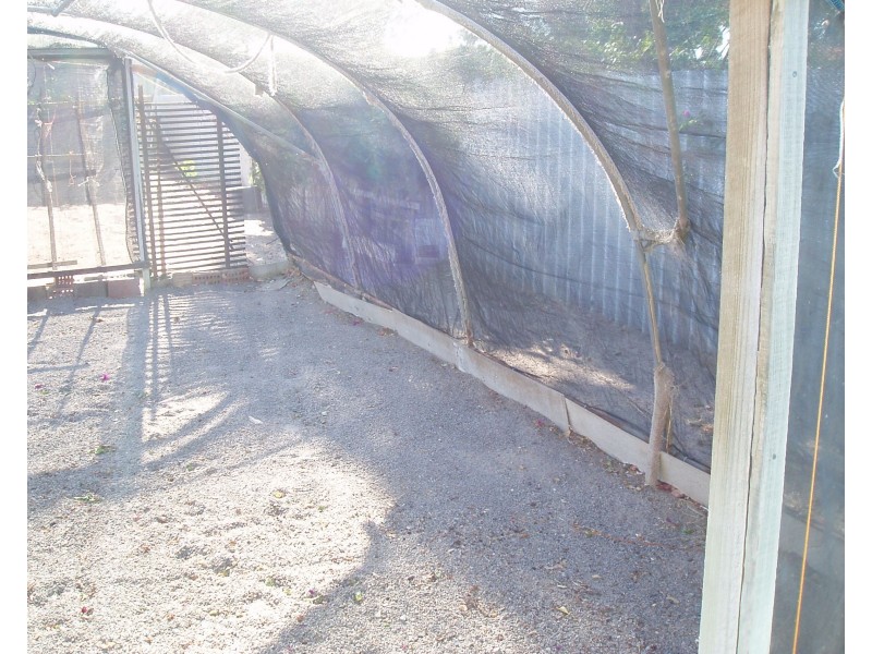 22 Dodd Street, Dongara WA 6525