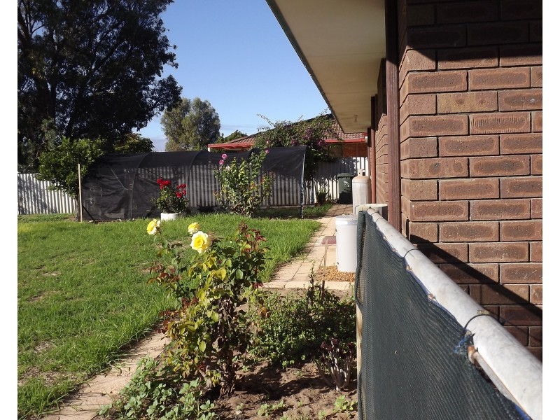 22 Dodd Street, Dongara WA 6525