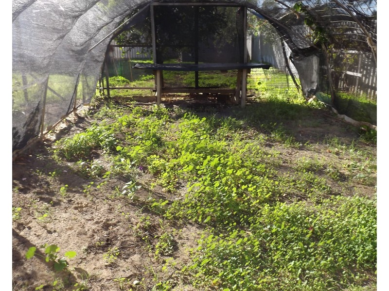 22 Dodd Street, Dongara WA 6525