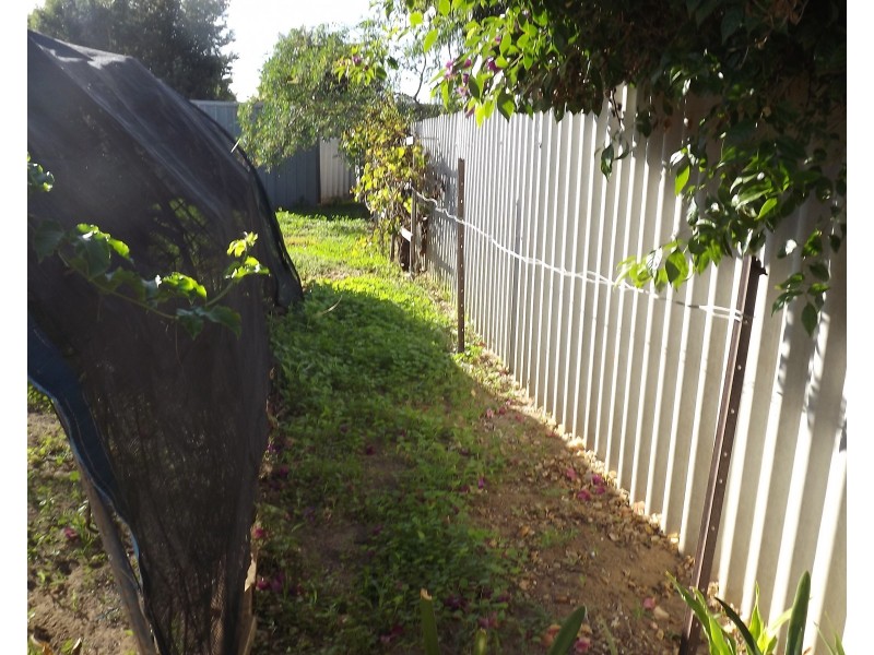 22 Dodd Street, Dongara WA 6525