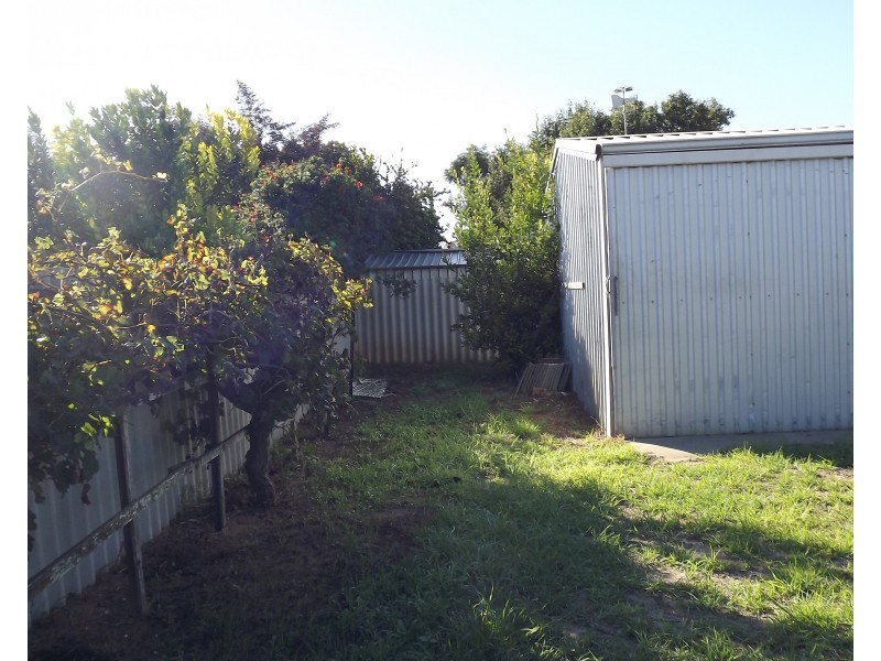 22 Dodd Street, Dongara WA 6525