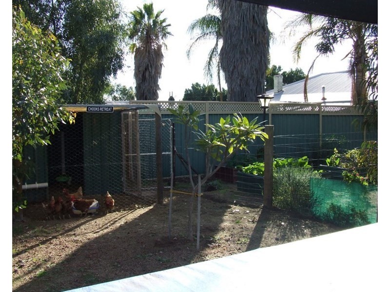 11 Bride Street, Mingenew WA 6522