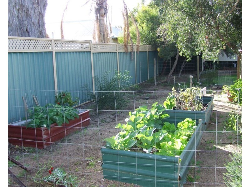 11 Bride Street, Mingenew WA 6522