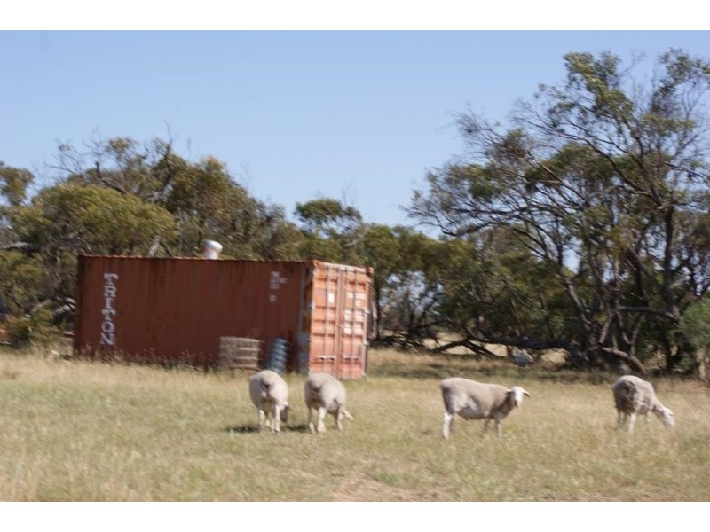 Lot 917 Wye Farm Road, Bonniefield WA 6525