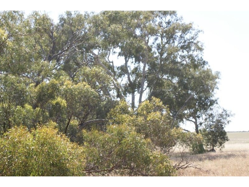 Lot 917 Wye Farm Road, Bonniefield WA 6525