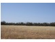 Lot 917 Wye Farm Road, Bonniefield WA 6525