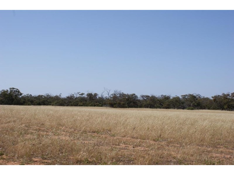 Lot 917 Wye Farm Road, Bonniefield WA 6525